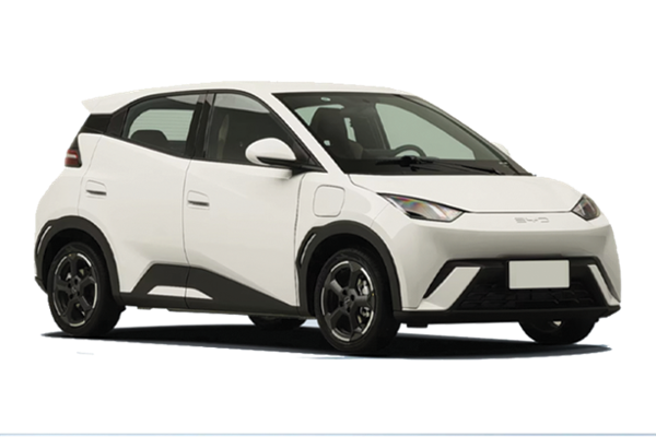 Noleggio auto Etiopia  BYD SEAGULL