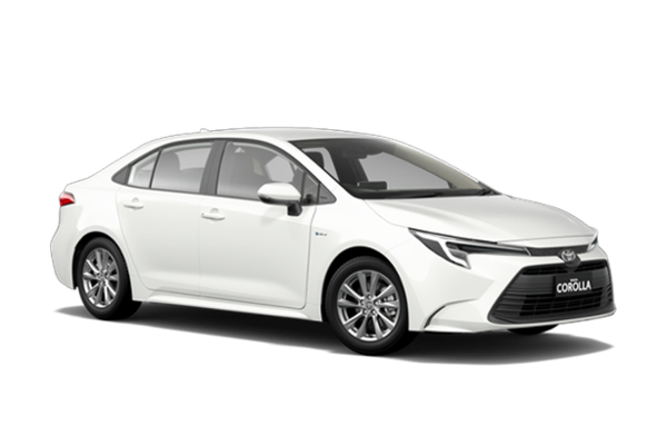 FOX 租車 多哈市中心 其他类型