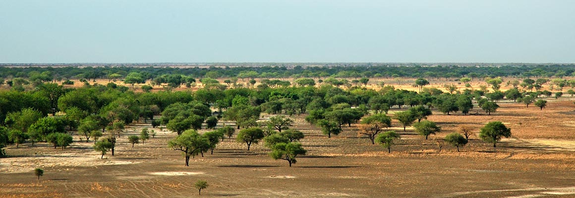 Location de voiture, Burkina Faso