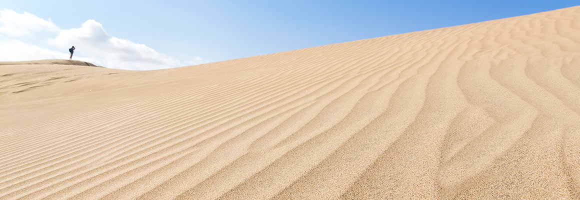 Car Rental in Kuwait