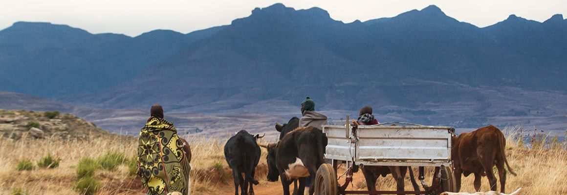 Location de voiture, Lesotho
