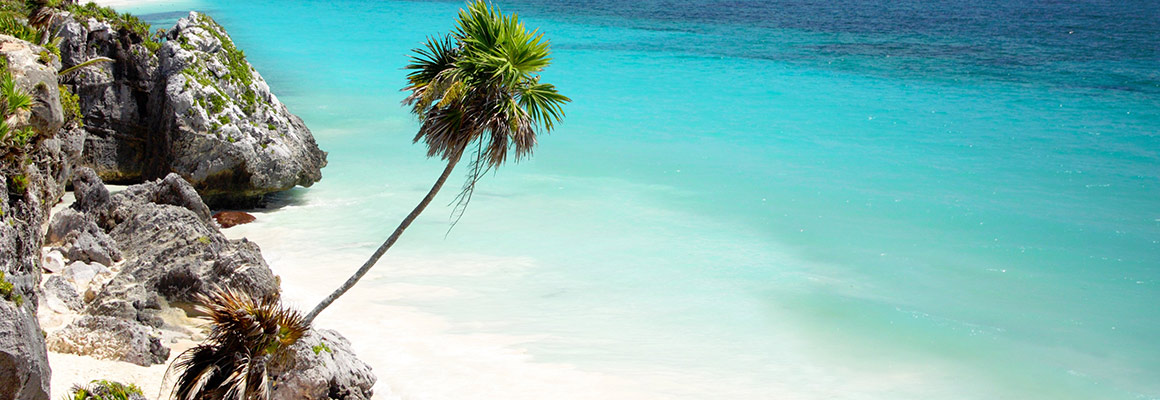 Car Rental in Trinidad And Tobago