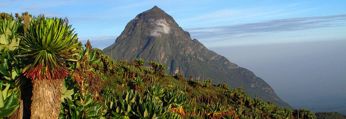 Location de voiture, Tanzanie