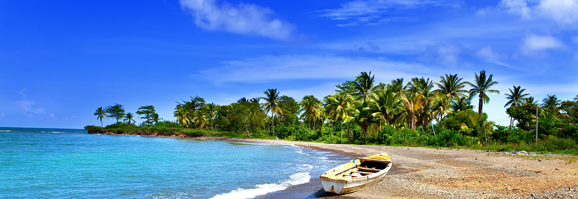 Car Rental in Jamaica